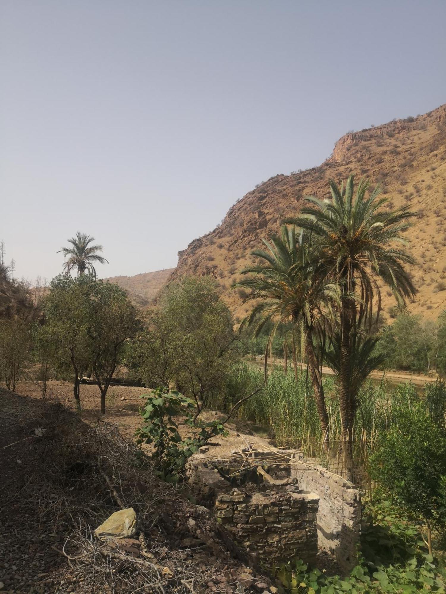Auberge Kasbah Amoun 塔利温 外观 照片
